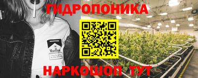 ПСИЛОЦИБИНОВЫЕ ГРИБЫ Баксан