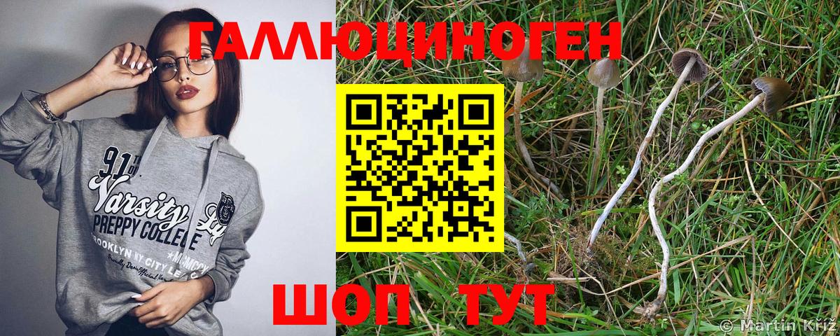 Галлюциногенные грибы ЛСД  Вход с VPN  где купить   Галлюциногенные грибы прущие грибы  Артёмовский 